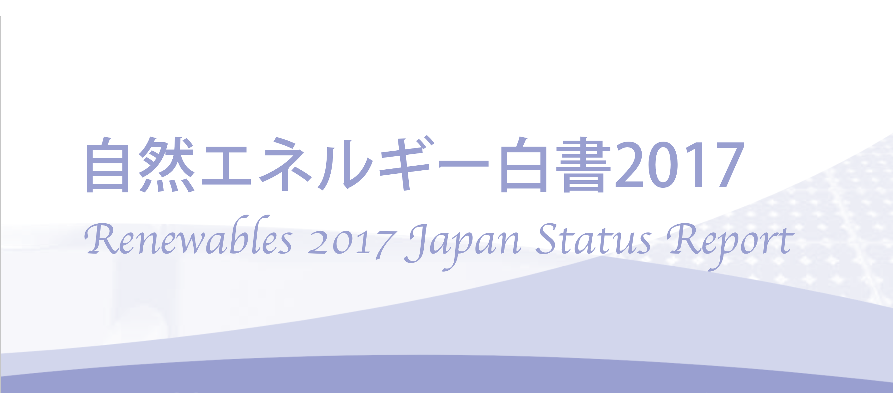バイオマスエネルギー市場の現状と将来展望 2017 （バイオマス